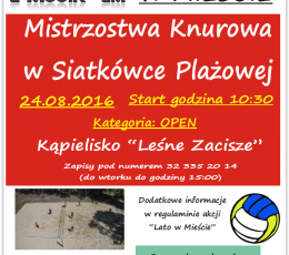 Mistrzostwa Knurowa w Siatkówce...